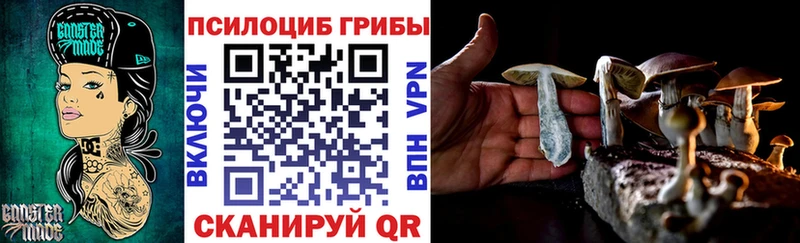 купить наркоту  Ува  Псилоцибиновые грибы Psilocybine cubensis 
